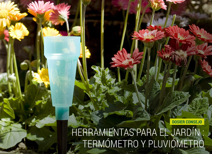 Herramientas para el jardín : termómetro y pluviómetro