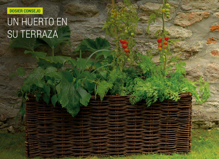 Un huerto en su terraza