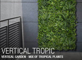 Green wall with tropical plants