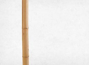 Decorative bamboo cane