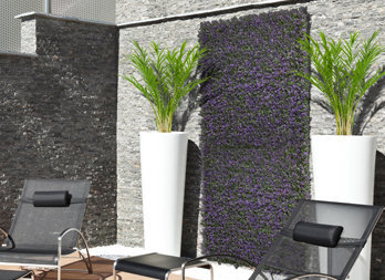 Green wall with lavander