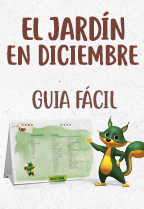 GUÍA FÁCIL: QUÉ HACER EN EL JARDÍN DURANTE EL MES DE DICIEMBRE