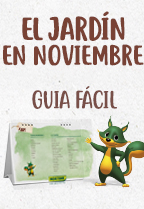 GUÍA FÁCIL: QUÉ HACER EN EL JARDÍN EN NOVIEMBRE 