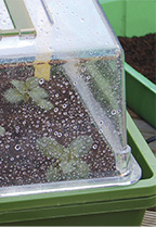 ACONDICIONAMIENTO NATURAL PARA EL JARDÍN