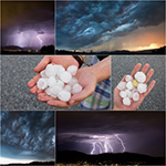 UN JARDÍN BAJO LA TORMENTA