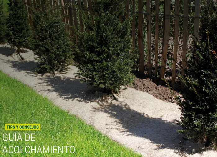 Guia de acolchado para huerto y jardín