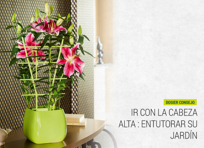 Ir con la cabeza alta : entutorar su jardín