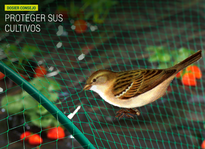 Proteger sus cultivos