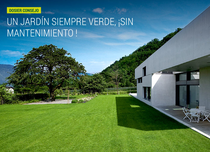 Un jardín siempre verde, ¡Sin mantenimiento!