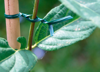 Tira plástica con alambre plastificado