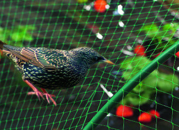 Malla de protección antipájaros