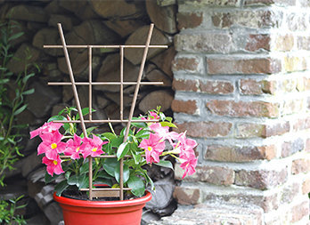 Plant ladder made of natural materials