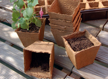 100% compostable pots made of wood fiber and peat