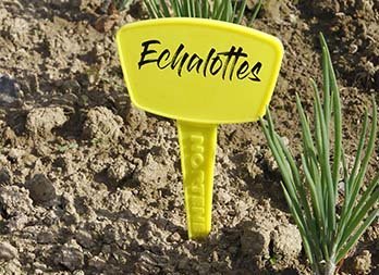 Planting label