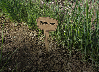 Miscanthus Fiber Planting Label