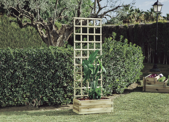 Squared trellis