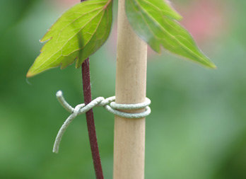 Sistema de atar rugosa