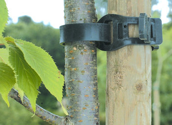 Abrazadera plástico de árbol