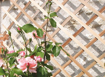 Celosía de madera extensible, para decorar una pared o tutorar plantas