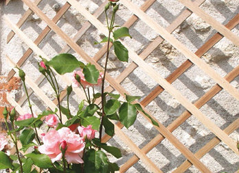 Extendable wooden trellis, to decorate a wall or trellis plants